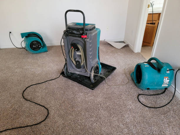 Best Flood restoration services  in St Paul Park, MN