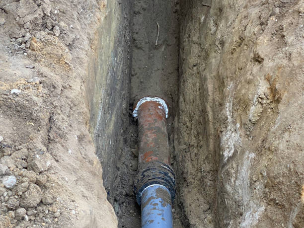 Best Flood restoration services  in St Paul Park, MN
