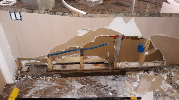 Best Water damage restoration services  in St Paul Park, MN