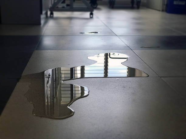 Trusted MN Water damage restoration Experts
