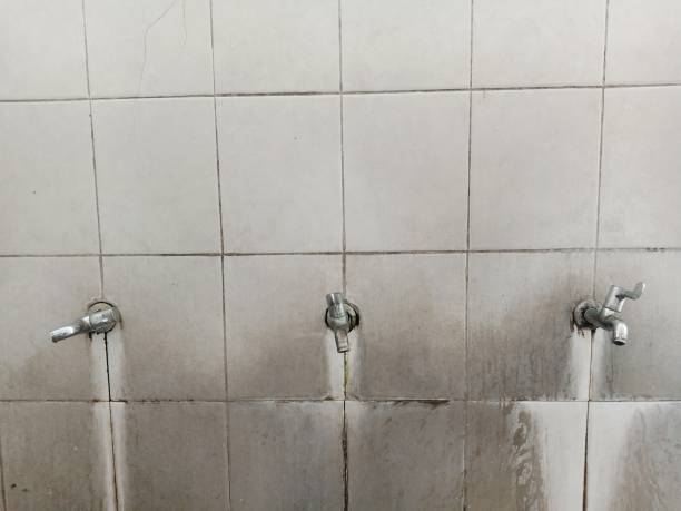 Best Water damage contractors near me  in St Paul Park, MN