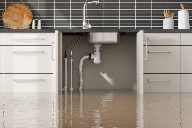 Best Water damage restoration near me  in St Paul Park, MN