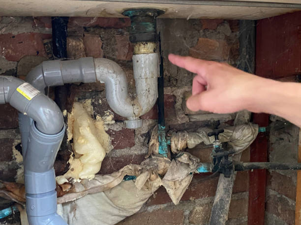 Best Water damage restoration near me  in St Paul Park, MN