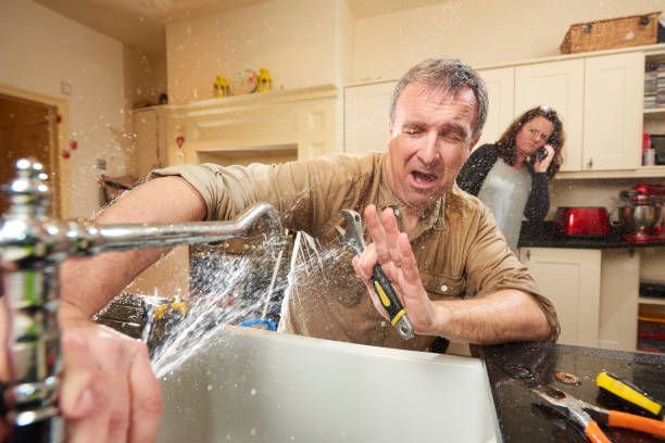 Best Local water damage restoration  in St Paul Park, MN